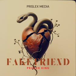 Fake Friend