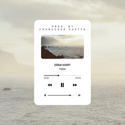 Cosa Vuoi? (feat. Francesco Chetta)