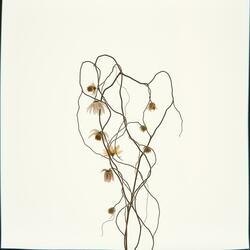 Only Love Its Ever Known