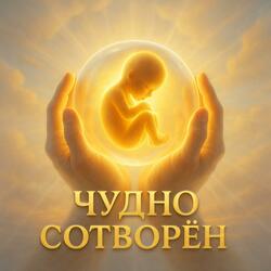 Чудно сотворён.