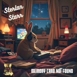 Memory Card Not Found