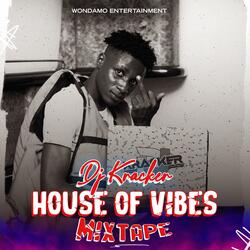 House of vibes mix intro