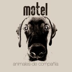 Metiéndome -en mi casa-
