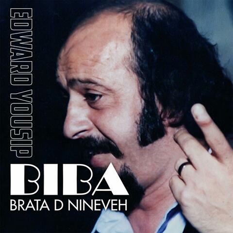 Brata D Nineveh