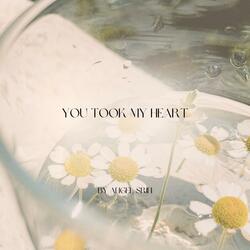 You Took My Heart