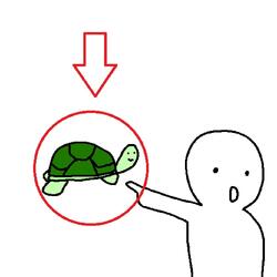 look! a turtle.. nevermind.