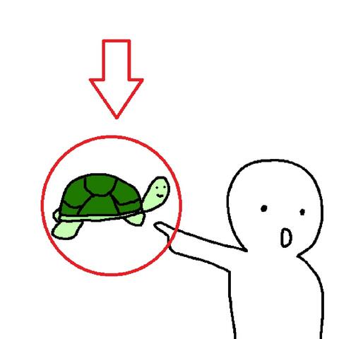 look! a turtle.. nevermind.