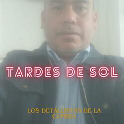 tardes de sol