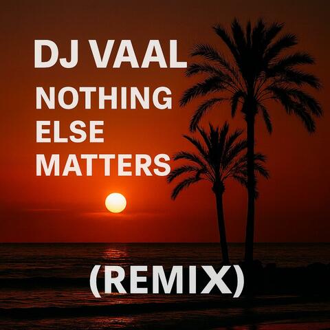 DJ VALL -NOTING ELSE MATTERS (COVER Remix)