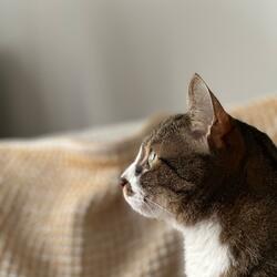 심봉이는 나의 우주