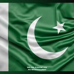 Dil Dil Pakistan