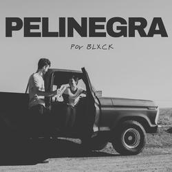 Pelinegra
