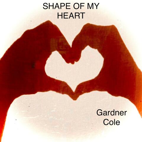 Shape Of My Heart