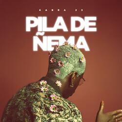 Pila de ñema