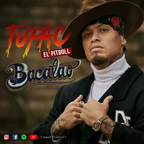 Bacalao