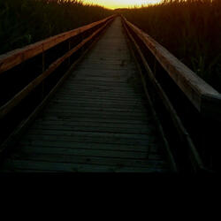 Moving Forward