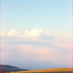 ありがとう。幸せにね。