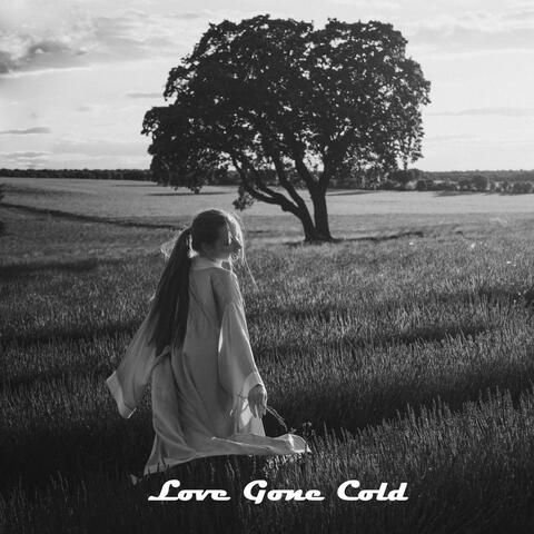 Love Gone Cold