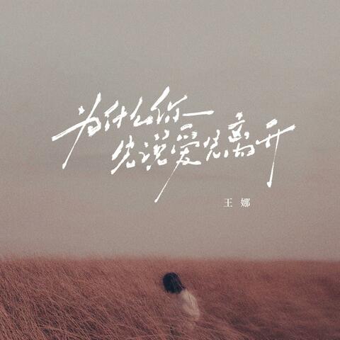 为什么你先说爱先离开