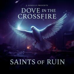 Dove in the Crossfire