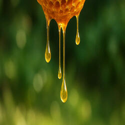 Honey from the hive (Bucharesti mix)