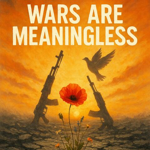 Wars are meaningless