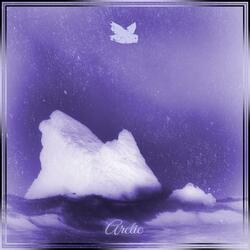 Arctic
