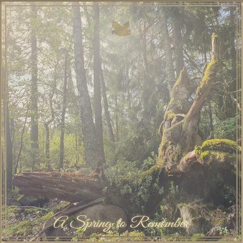 A Spring to Remember