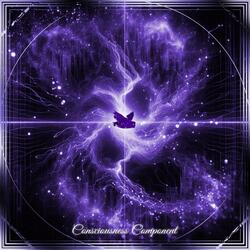 Consciousness Component