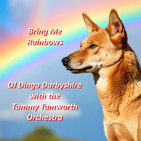 Bring Me Rainbows