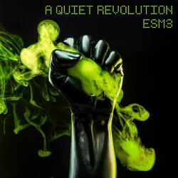 A quiet revolution