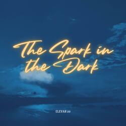 The Spark in the Dark (Radio Edit)