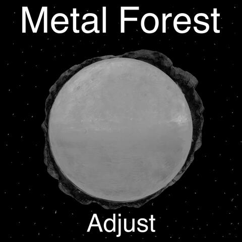 Adjust