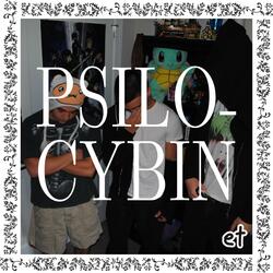 PSILOCYBIN (feat. kk47)
