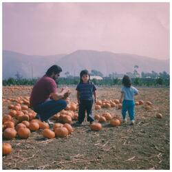 Even the Moose is Right Twice a Day (Cory Castro Remaster)