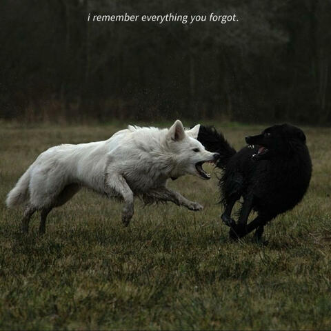i remember everything you forgot.