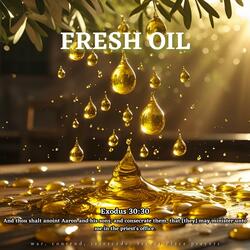 Fresh Oil