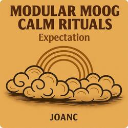 Modular Moog Calm Rituals Expectation