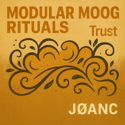 Modular Moog Rituals Trust