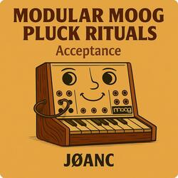 Modular Moog Pluck Rituals Acceptance
