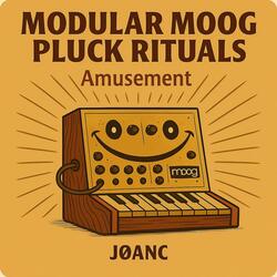Modular Moog Pluck Rituals Amusement