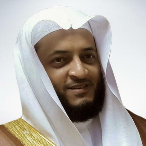 سورة الزمر بصوت القارئ هاني الرفاعي