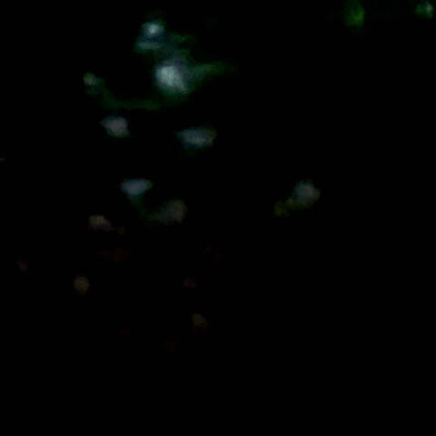 I Dont Roc Like That