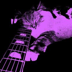 Pretty Voices (Fill The Room)