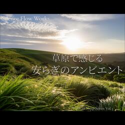 Ambient Path Through the Meadow - 草原を抜けるアンビエントの小径