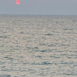 READ LETTERS IN BLOOD (Instrumental )