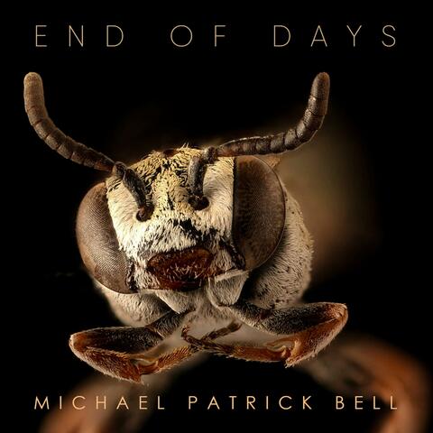 End of Days