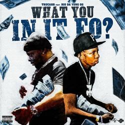 What You In It Fo (feat. Rio The Yung Og)