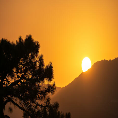 Morning Star