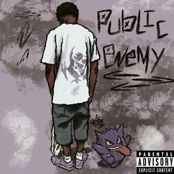 Public enemy ty for 1k